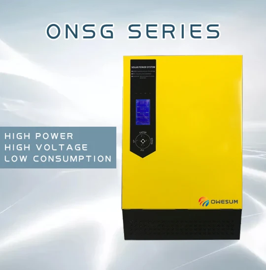 Onsg 800W à 4000W Contrôleur solaire à onde sinusoïdale Onduleur intégré