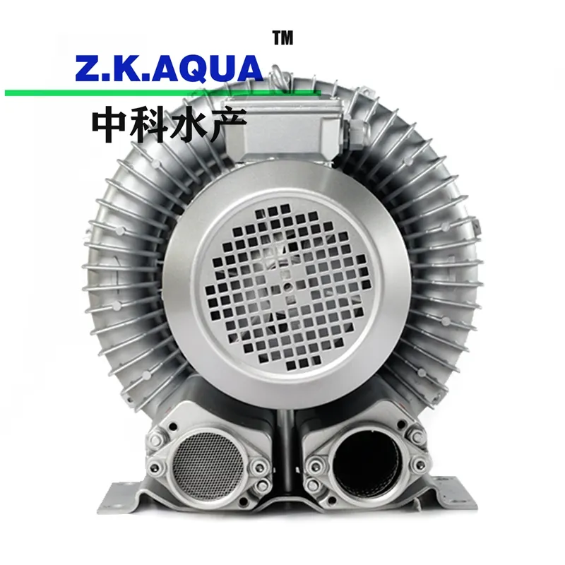 Application d'un ventilateur de haute qualité dans plusieurs scènes pour améliorer le taux de survie des poissons, augmenter l'oxygène et ajouter un ventilateur à oxygène